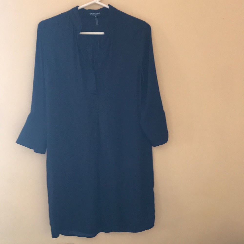 David Lerner Shift Dress